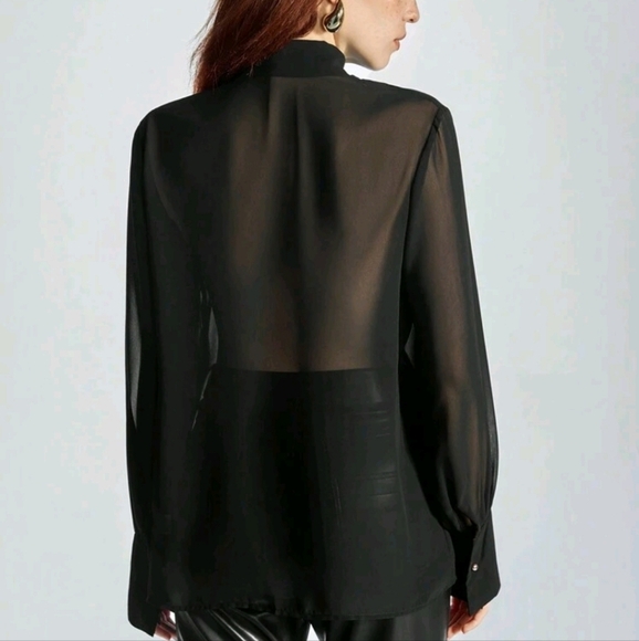 Minimalist Semi-Sheer V-Neck Tie Collar Ribbon Button Down Long Sleeve Blouse - Picture 3 of 5